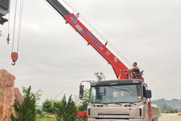 Dịch Vụ Cẩu Cây Cảnh Uy Tín Tại Lạng Sơn