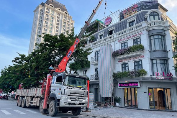 Dịch Vụ Cho Thuê Xe Cẩu Tự Hành tại Huyện Tràng Định,Lạng Sơn – Xuân Sang