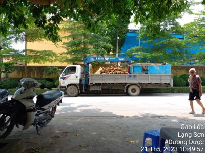 cẩu biển quảng cáo