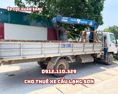 xe cẩu tự hành 3 tấn