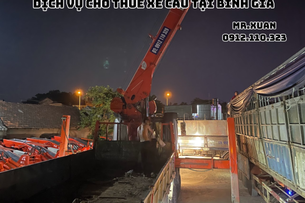 DỊCH VỤ CHO THUÊ XE CẨU TẠI BÌNH GIA