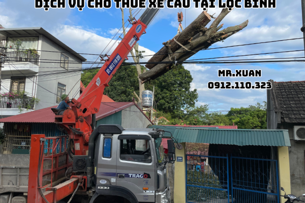 DỊCH VỤ CHO THUÊ XE CẨU TẠI LỘC BÌNH