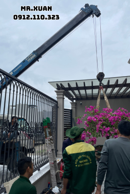 DỊCH VỤ CHO THUÊ XE CẨU TẠI VĂN LÃNG 