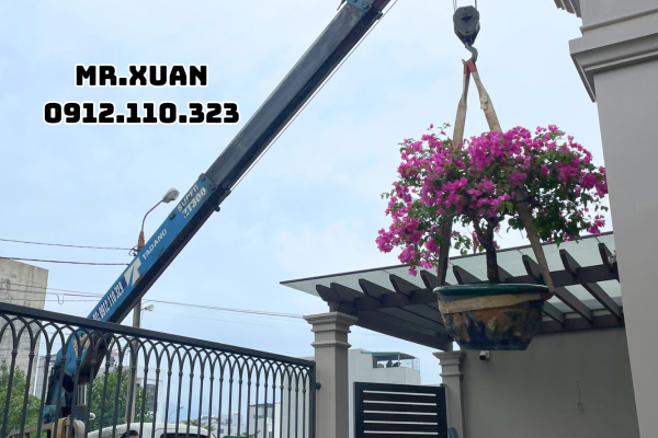 DỊCH VỤ CHO THUÊ XE CẨU TẠI VĂN QUAN