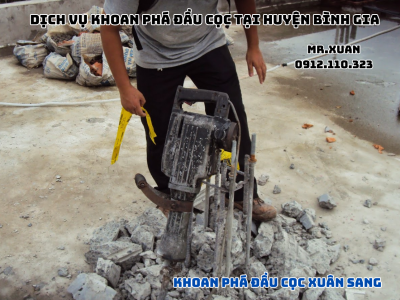 DỊCH VỤ KHOAN PHÁ ĐẦU CỌC TẠI HUYỆN BÌNH GIA 