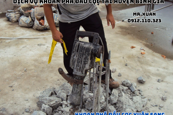 DỊCH VỤ KHOAN PHÁ ĐẦU CỌC TẠI HUYỆN BÌNH GIA