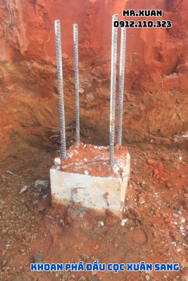 DỊCH VỤ KHOAN PHÁ ĐẦU CỌC TẠI HUYỆN ĐÌNH LẬP