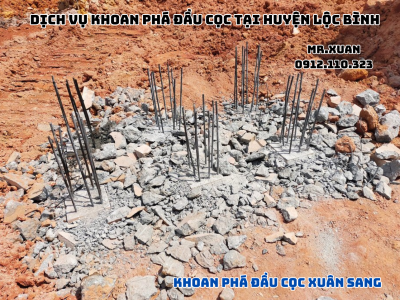DỊCH VỤ KHOAN PHÁ ĐẦU CỌC TẠI HUYỆN LỘC BÌNH