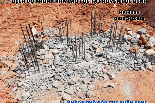 DỊCH VỤ KHOAN PHÁ ĐẦU CỌC TẠI HUYỆN LỘC BÌNH