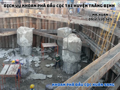 DỊCH VỤ KHOAN PHÁ ĐẦU CỌC TẠI HUYỆN TRÀNG ĐỊNH