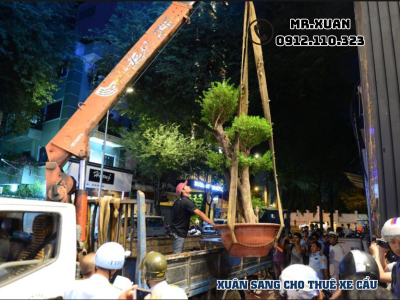 DỊCH VỤ CHO THUÊ XE CẨU TẠI HUYỆN CHỢ MỚI, THÀNH PHỐ BẮC KẠN