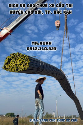 DỊCH VỤ CHO THUÊ XE CẨU TẠI HUYỆN CHỢ MỚI, THÀNH PHỐ BẮC KẠN