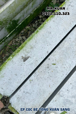 DỊCH VỤ ÉP CỌC BÊ TÔNG TẠI HUYỆN NGUYÊN BÌNH, THÀNH PHỐ CAO BẰNG