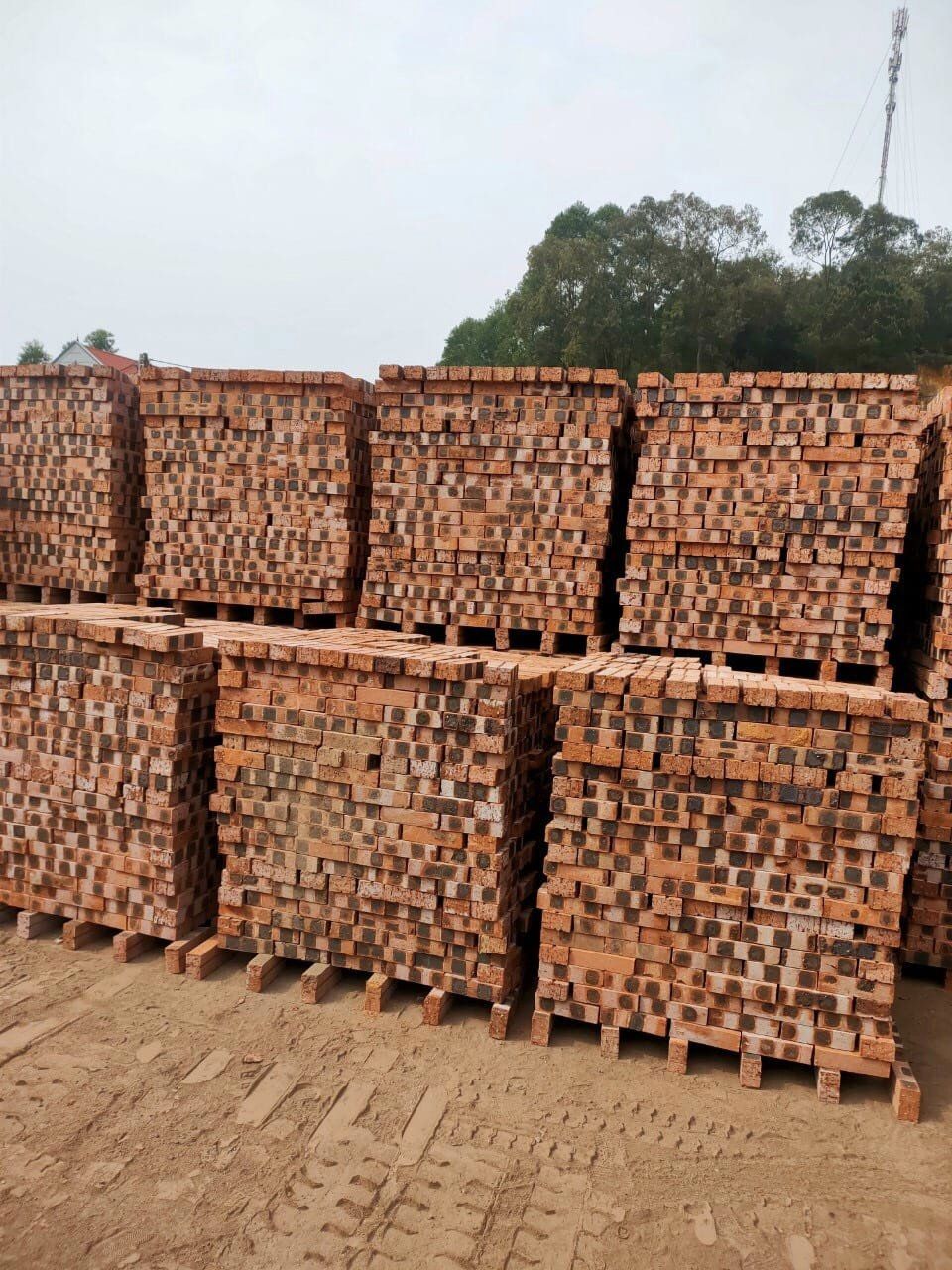 vật liệu xây dựng