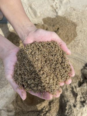 vật liệu xây dựng